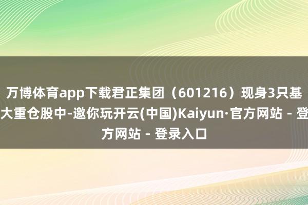 万博体育app下载君正集团（601216）现身3只基金的十大重仓股中-邀你玩开云(中国)Kaiyun·官方网站 - 登录入口