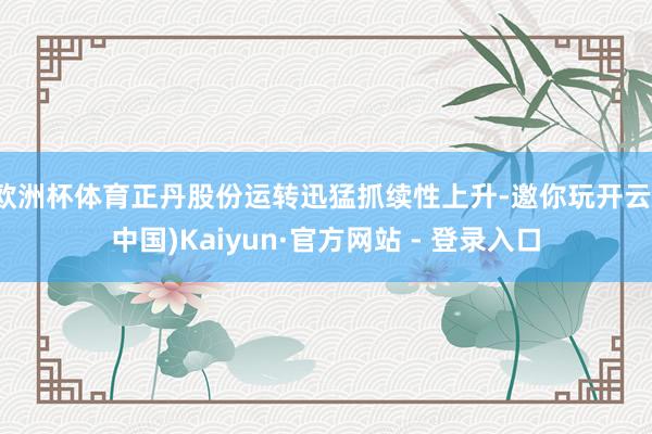 欧洲杯体育正丹股份运转迅猛抓续性上升-邀你玩开云(中国)Kaiyun·官方网站 - 登录入口