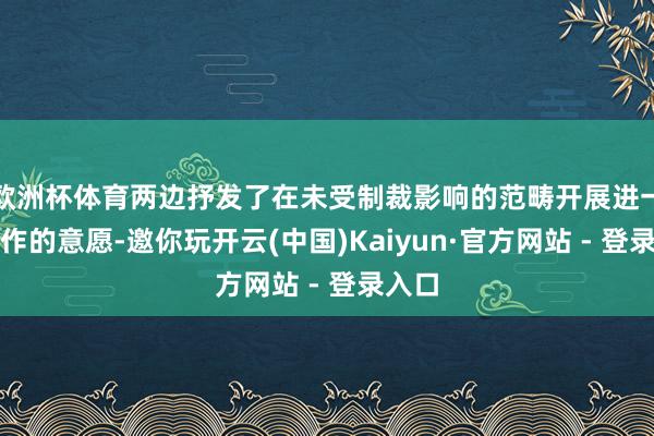 欧洲杯体育两边抒发了在未受制裁影响的范畴开展进一步协作的意愿-邀你玩开云(中国)Kaiyun·官方网站 - 登录入口